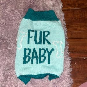 Puppy sweater 😎